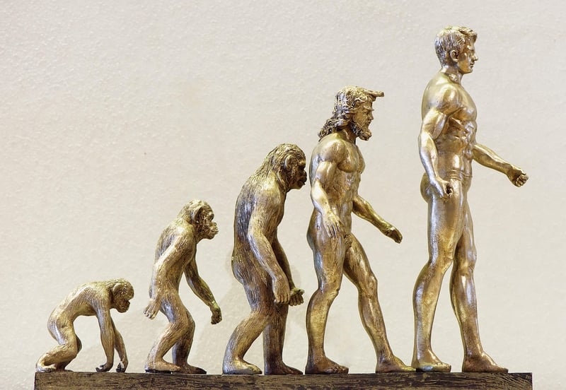 Tech Evolution